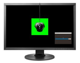 EIZO ColorEdge CS2410 - monitor LCD 24